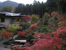 The courtyard of the autumn leaves