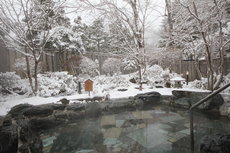 Winter outdoor bath