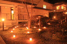 light up　garden